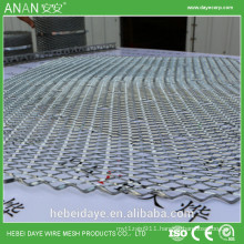 China supplier galvanized iron Plaster wall Mesh with Embossing